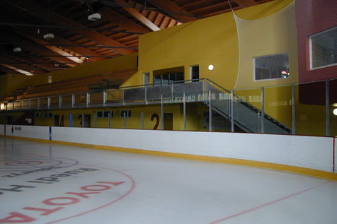 Puckschutz Gläser
